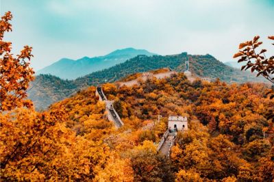 gallery/hanson-lu-q36bvlgdoag-unsplash (1)